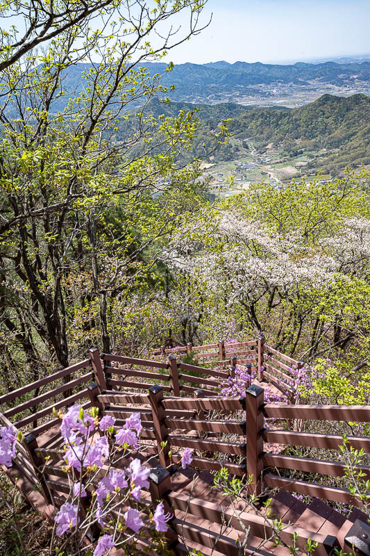 Korea yet again for the 7th time - March and April 2026 - Not a lot of staircases today, this one near the summit was probably the only one.