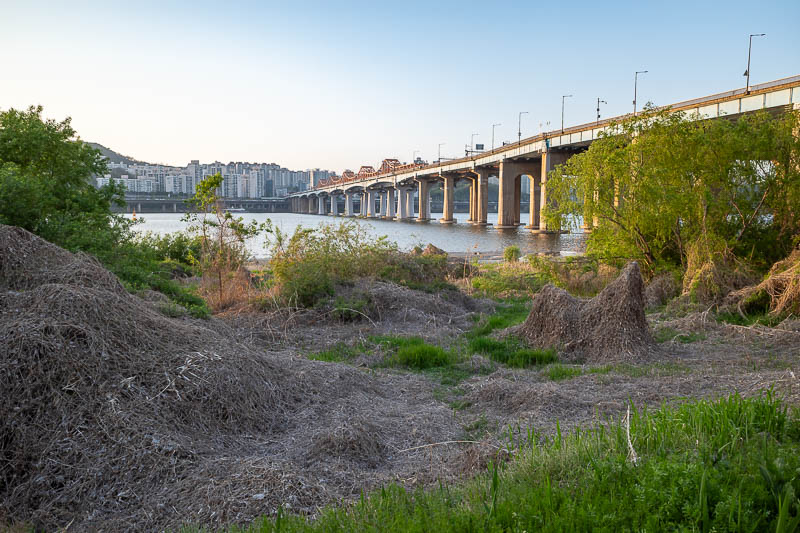 Korea-Seoul-River-Poke - Instead I went down to the rubbish layer.