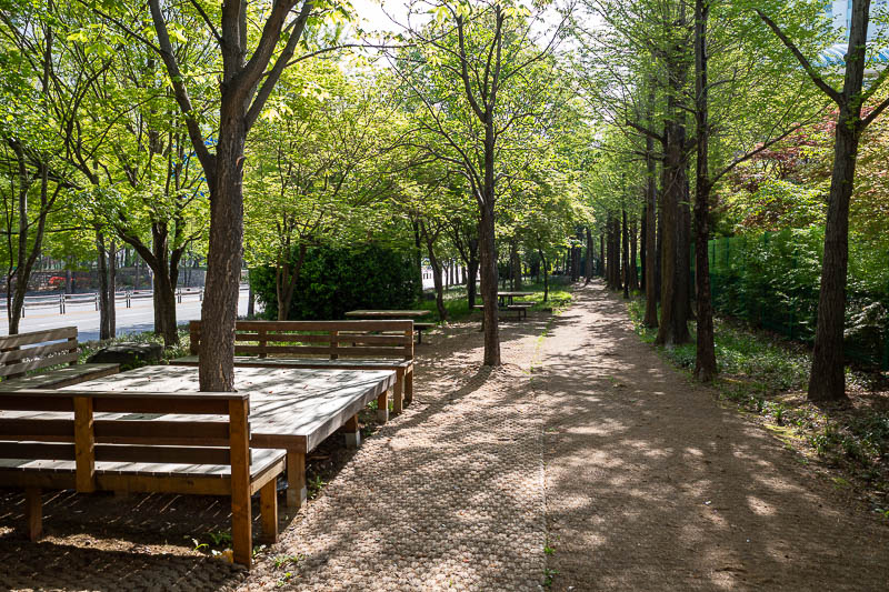 Korea-Seoul-Hiking-Geomdansan - The hike starts immediately, not really, they put some hessian bags down and planted some trees along the highway. But really it is only about 300m to