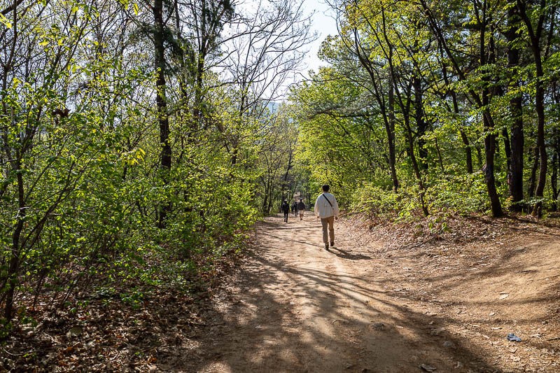 Korea-Seoul-Hiking-Geomdansan - The start of the loop course trail to Geomdansan is more of a road. There were a lot of other people on the loop part of the trail today, but not many