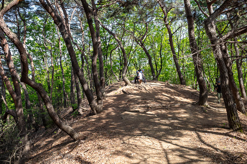 Korea-Seoul-Hiking-Geomdansan - Lots of shade today, and other people.