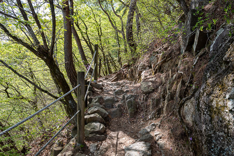 Korea-Seoul-Hiking-Geomdansan - Not so leafy this time