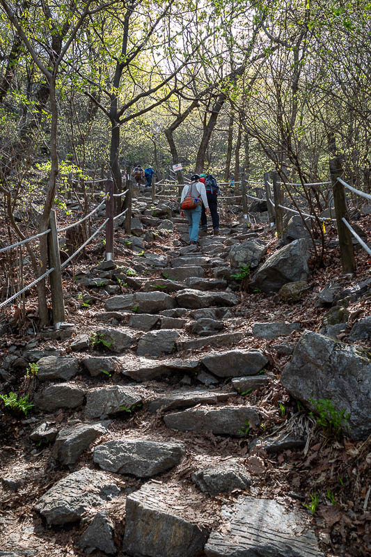 Korea-Seoul-Hiking-Geomdansan - The hike up the left side of the loop to the main summit is a lot of steps, quite relentless.