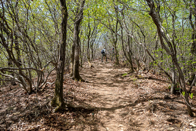 Korea-Seoul-Hiking-Geomdansan - Finally a ridge.