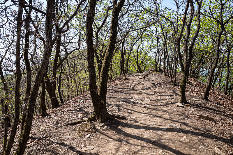 Korea-Seoul-Hiking-Geomdansan - Last push. I went very hard up to the main summit.