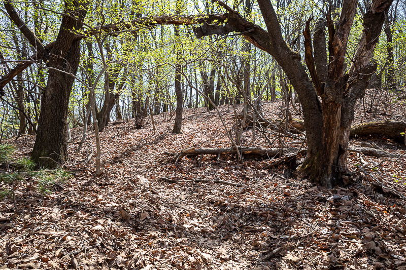 Korea-Seoul-Hiking-Geomdansan - A lot of down and up again today, hence the high calories burned.