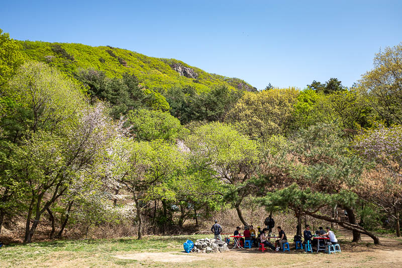 Korea-Seoul-Hiking-Geomdansan - Another plateau area shows how green things now are, 3 weeks ago this was all just dead and brown.