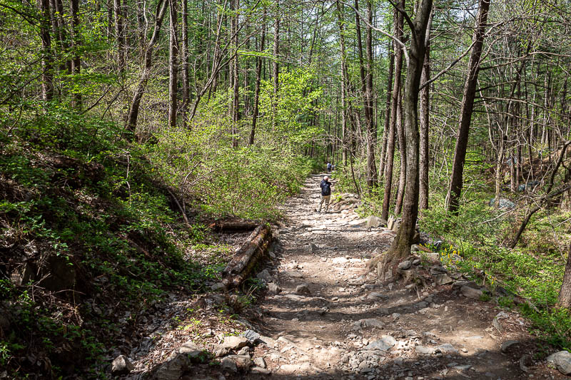 Korea-Seoul-Hiking-Geomdansan - The rest of the way down looks like this, nice and forested, and other people.