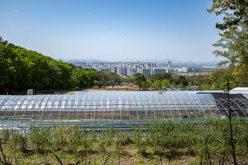 Korea-Seoul-Hiking-Geomdansan - Finally back at the farm line.