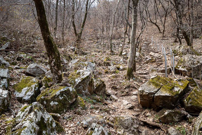 Korea-Seoul-Hiking-Soyosan - Nearing the bottom now, a brief mossy area. I remembered this part from last time, where a small black goat followed me up the hill.