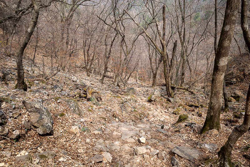 Korea-Seoul-Hiking-Soyosan - A lot of rocks and dead looking trees. This will be a feature of all hikes on this trip.