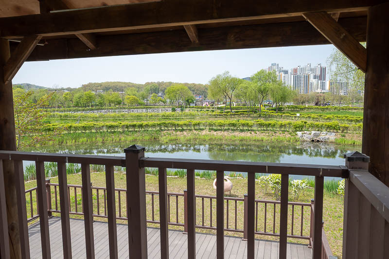 Korea-Seoul-Museum-Market - Bonus activity, I exited the museum area and went through a tunnel under the real train tracks and came out at this park. Lotus ponds I believe, but l