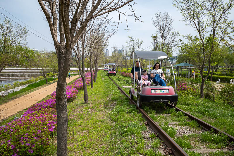 Korea-Seoul-Museum-Market - However, if you want, you can pay to ride a train bike around the park. These are the new hot thing in Korea, they are everywhere!