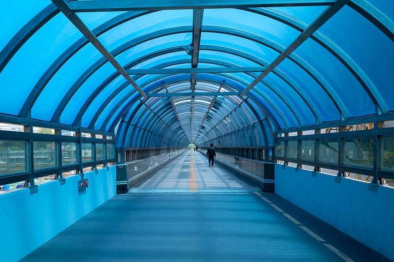 Korea-Seoul-Museum-Market - Finally, after a hot walk back to the station, I got to enjoy this blue tunnel over the tracks. I pretended I was under the sea.