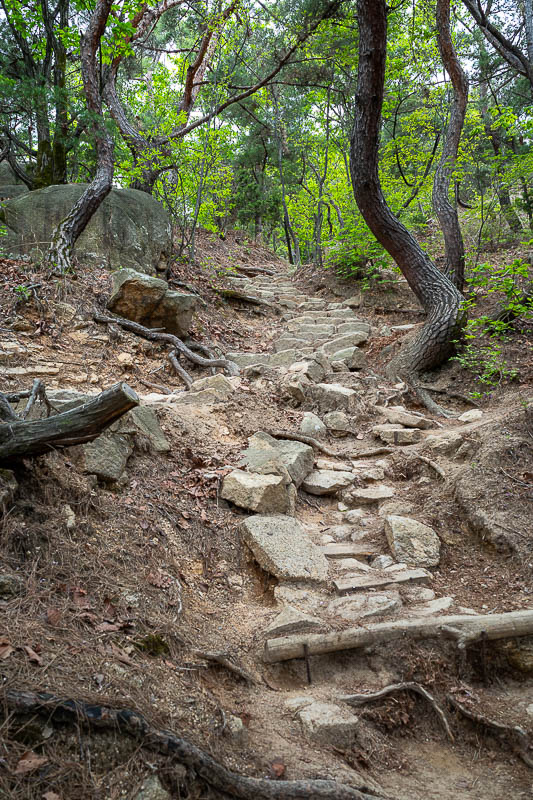 Korea-Seoul-Hiking-Gwanaksan - Time to hit the trail, the first part is probably the hardest, there is a nearby staircase trail instead if you prefer.