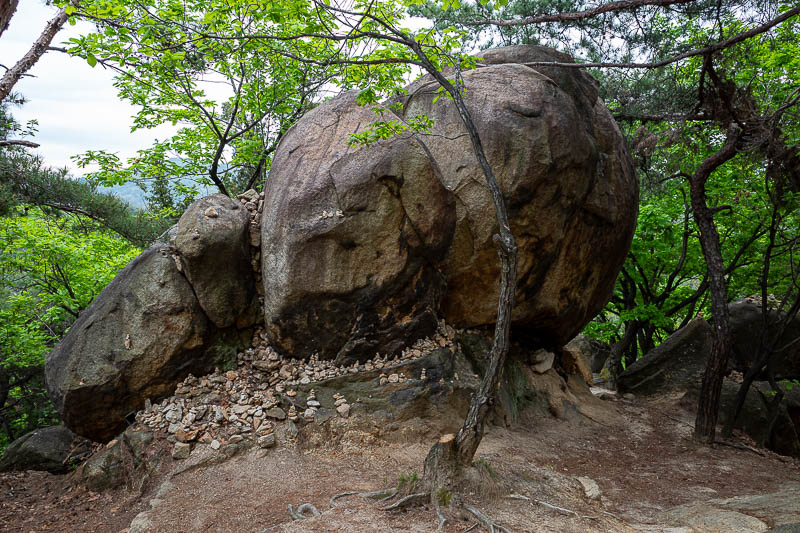 Korea-Seoul-Hiking-Gwanaksan - But then you would miss out on the huge rocks.