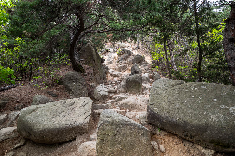 Korea-Seoul-Hiking-Gwanaksan - When there were not stairs, the ridges were very nice, good tree cover, but also lots of view spots.