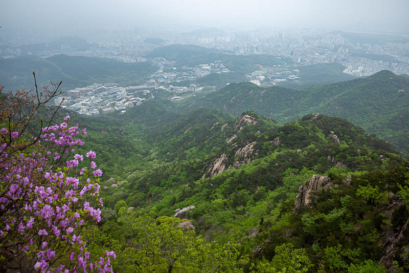 Korea-Seoul-Hiking-Gwanaksan - Almost at the top.