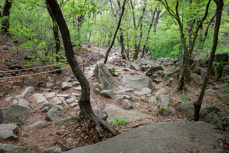 Korea-Seoul-Hiking-Gwanaksan - The walk down the other side does not really have many views, but it is still a nice walk.