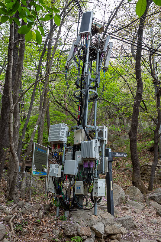 Korea-Seoul-Hiking-Gwanaksan - I am always amused to see things like this on a mountain in a forest.