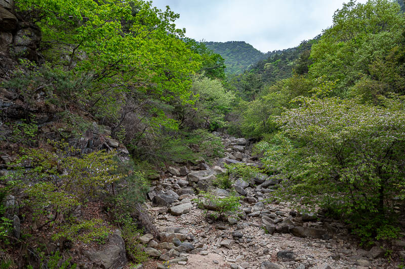 Korea-Seoul-Hiking-Gwanaksan - Nearly at the bottom, looking back up.