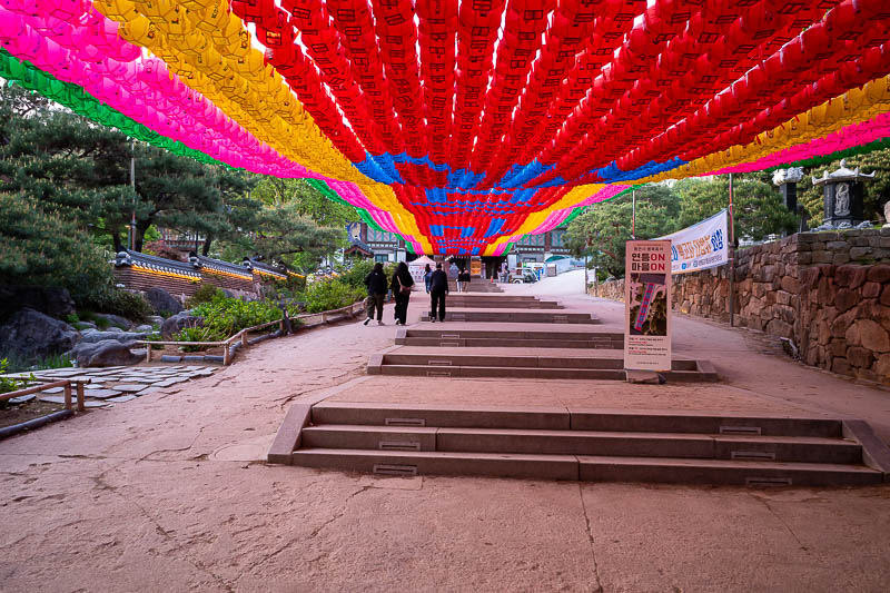 Korea-Seoul-COEX - Temple time, behold a completely plastic sky.