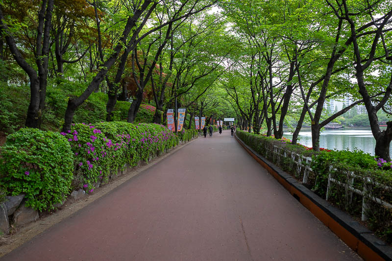 Korea-Seoul-Jamsil - A very nice place to walk around. They have markings on the ground for joggers to know how far they have run, assuming they cannot afford a fancy gps 