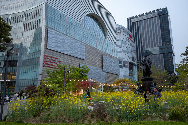 Korea-Seoul-Jamsil - No blossoms, just yellow flowers. Boring.