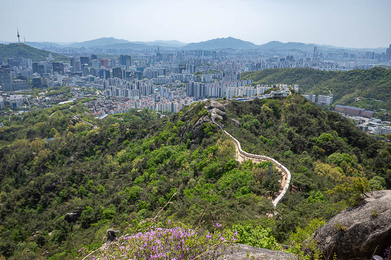Korea-Seoul-Inwangsan-Market - Possibly the same photo as earlier, but with a bit of purple flower.