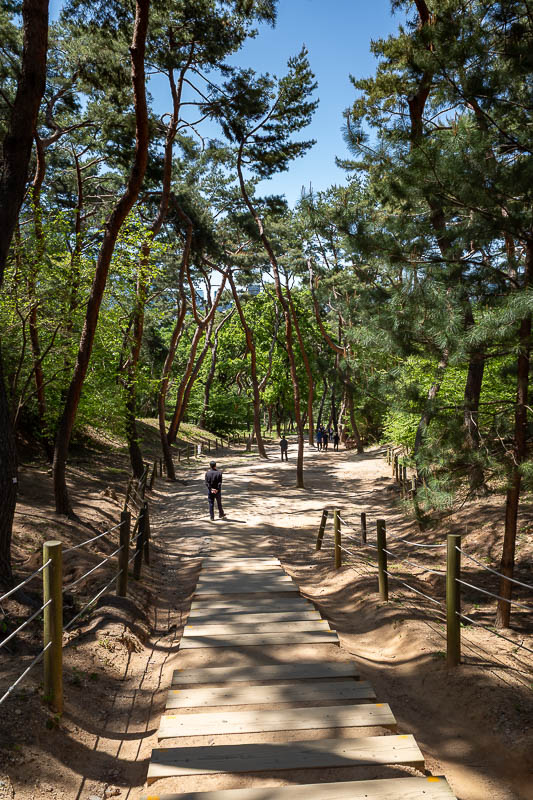 Korea yet again for the 7th time - March and April 2026 - The park is a nice 3.5km circuit if you go the whole way, I did.