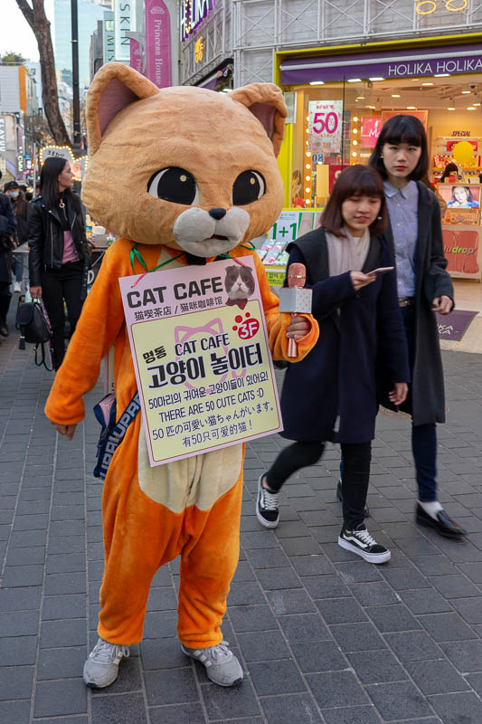 Korea - HK - China - KORKONG! - Still not having recovered from my supreme Supreme rant, I decided to take out my anger on this guy wearing a cat suit advertising for the cat cafe. H