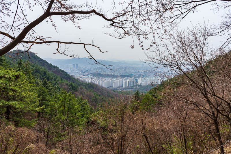 Korea-Daejeon-Hiking-Gyejoksan - Nearly time to head back down, heres some more apartment buildings. UBIQUITOUS!