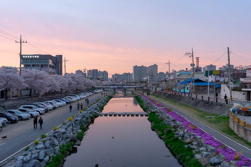 Korea - HK - China - KORKONG! - On the far side of the station, there was a nice drain, with flowers, blossoms, and a whole heap of parked cars? I worked out this is for insurance pu