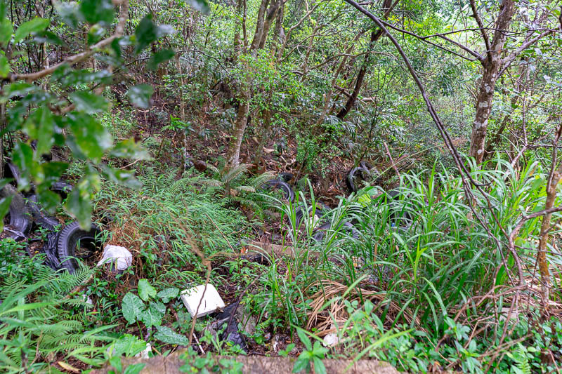Hong Kong-Hiking-Ma On Shan - The path up to the start of the trail was a concrete goat track, and everything that you are no longer allowed to throw out with the normal garbage is