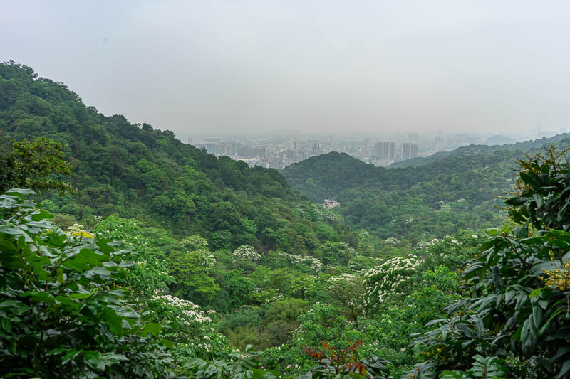 China-Guangzhou-Hiking-Baiyun - After recovering my camera from Mr Lin, it was time to head back down the mountain, here is the descending view. Still no good.