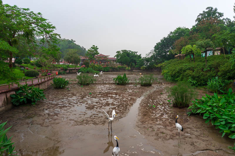 China-Guangzhou-Rain-Lotus Hill - Mud as far as the eye can see! It was actually darker than this.