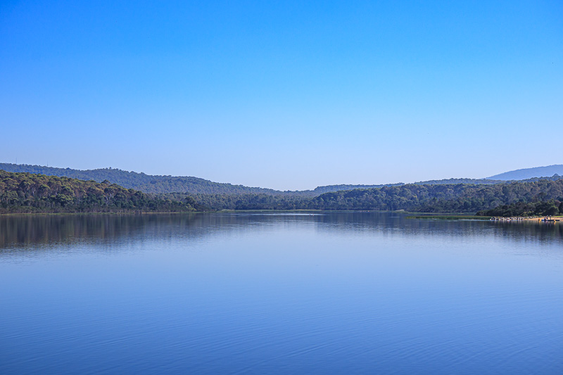  - The lake is man made, here is the view from the dam. There are lots of kangaroos and wallabies. This one is full 45mm zoomed in. I pixel peeped the tr