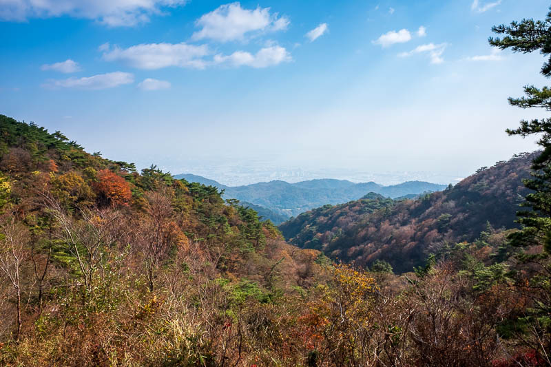 News - Upcoming trip - my 13th trip to Japan. Lucky for some?