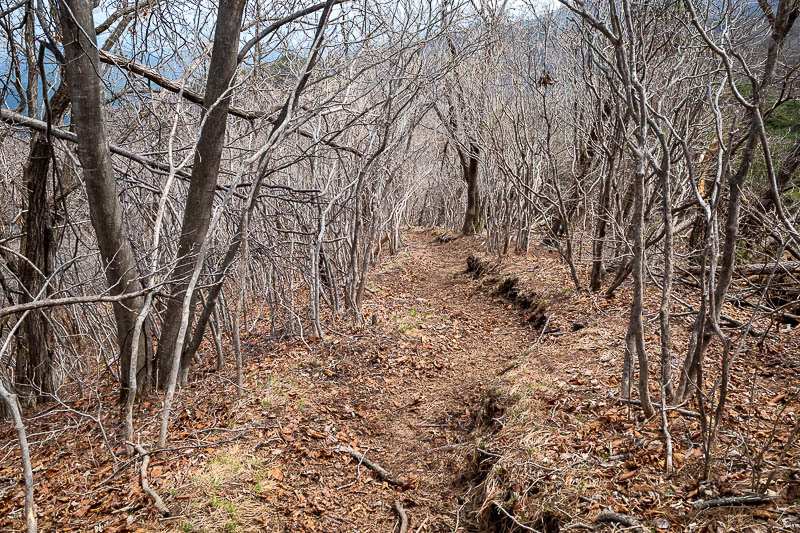 News - Upcoming trip - Korea for... checking... the 7th time.