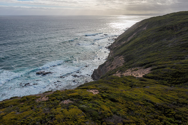 news - Photo taken from the top of the Cape Otway lighthouse.