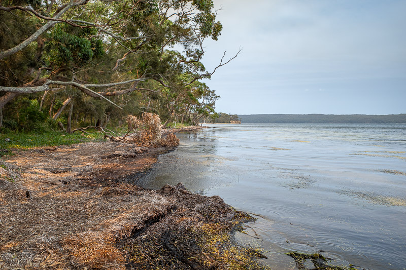 - After being denied entry to the Defence restricted areas and fleeing overcrowded Hyams beach, the next stop was a walk along the lagoon at Sanctuary p