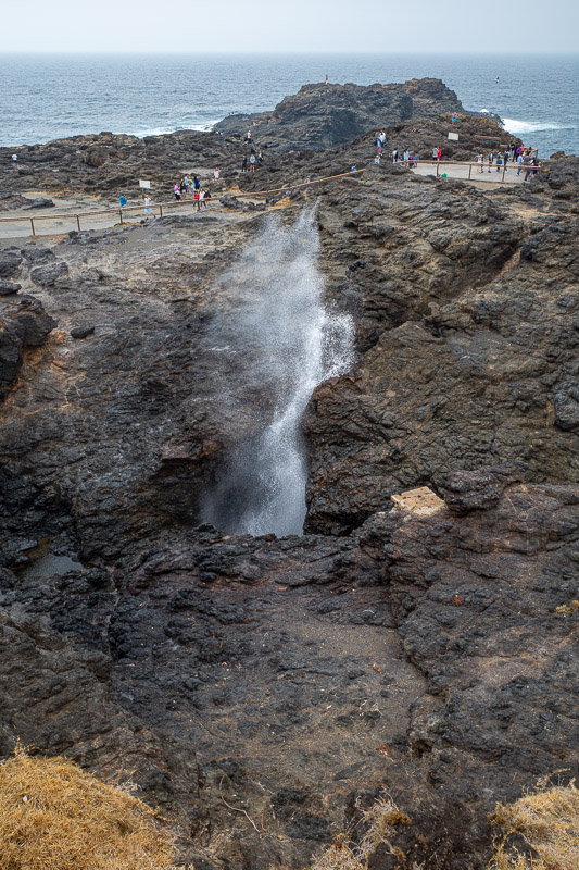  - Here is the blowhole. Some people like to fall in and drown.