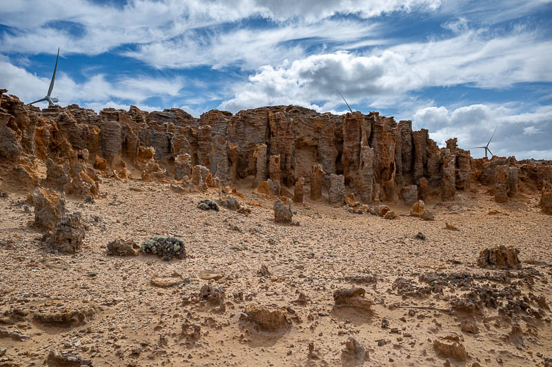  - This area is called the petrified forest. It is not wood, it is eroded limestone.