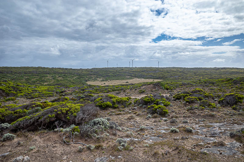  - There are windmills here too. Despite the huge amount of wind, none of them were actually operating. I believe this is because of the cold weather and