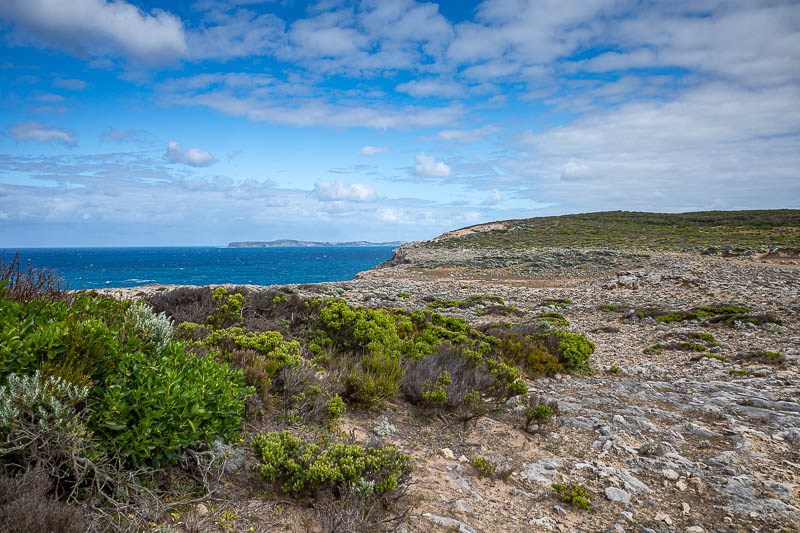  - Around there at the tip of the land on the left is Cape Bridgewater from yesterday. You can walk there on a path like this for the entire journey.