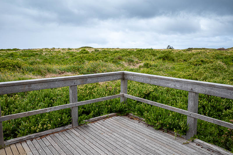  - The island is a conservation park for short tailed shearwater birds that fly here from the northern hemisphere and all arrive back each year on one of