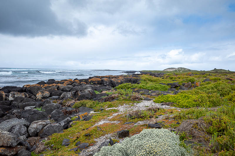  - The path around the island takes in the mighty southern ocean.