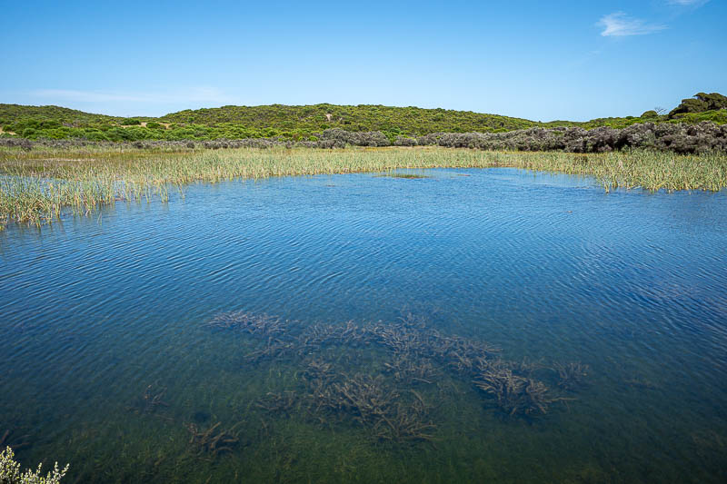  - Over the road is the dirt road that leads to the parking area at Bridgewater lakes aquatic club. Here is a lagoon where you might shoot ducks.