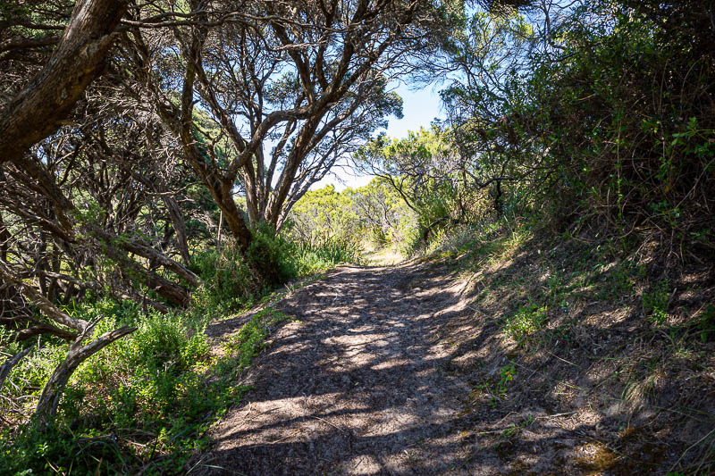  - Time to hit the trail. It is about 2km from the car park to a giant sand dune. On the map it is labelled discovery bay access path.