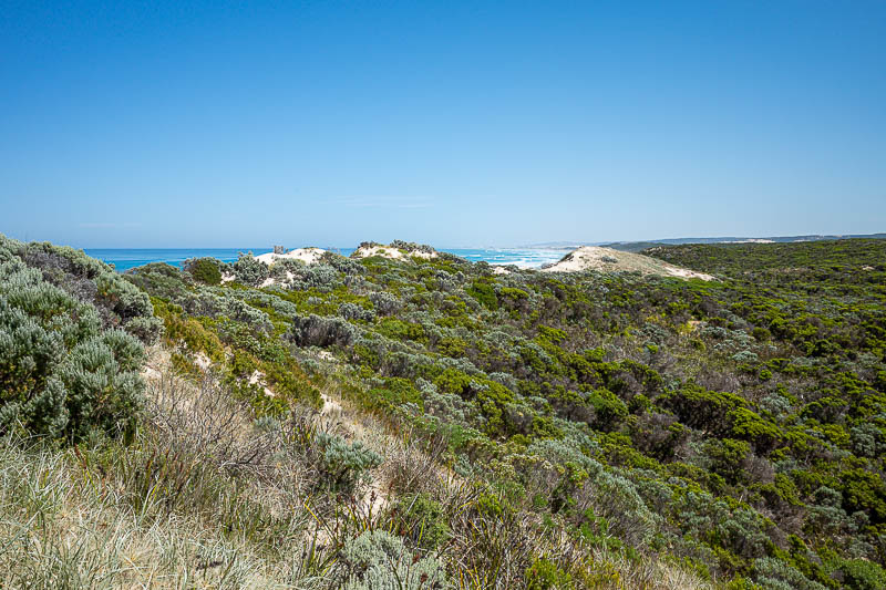  - A wall of sand dunes.